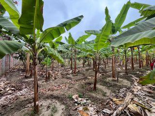 Foto 4 de Finca en Venta en la vía Durán - Taura, GabR
