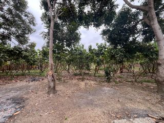 Foto 17 de Finca en Venta en la vía Durán - Taura, GabR