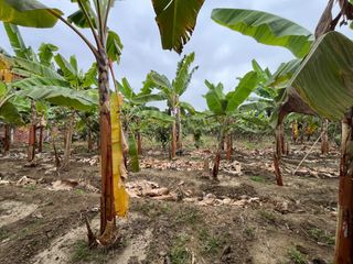 Foto 2 de Finca en Venta en la vía Durán - Taura, GabR