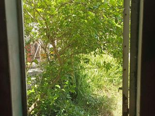 Foto 47 de Venta Casa en esquina const. sobre 2 lotes amplio fondo libre - Llavallol