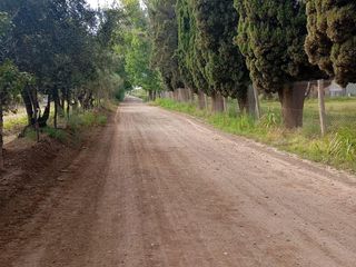 Foto 10 de Viñedo y Finca en Venta en Junin, Mendoza