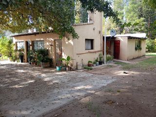 Foto 9 de Viñedo y Finca en Venta en Junin, Mendoza