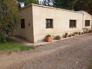 Foto 8 de Viñedo y Finca en Venta en Junin, Mendoza