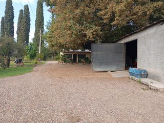 Foto 11 de Viñedo y Finca en Venta en Junin, Mendoza