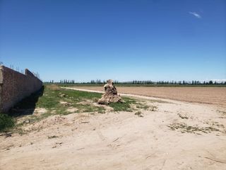 Foto 10 de TERRENO DE 6 HAS PARA DESARROLLO MAIPU