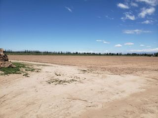 Foto 9 de TERRENO DE 6 HAS PARA DESARROLLO MAIPU