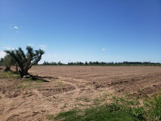 Foto 5 de TERRENO DE 6 HAS PARA DESARROLLO MAIPU