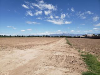 Foto 13 de TERRENO DE 6 HAS PARA DESARROLLO MAIPU