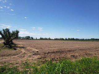 Foto 4 de TERRENO DE 6 HAS PARA DESARROLLO MAIPU