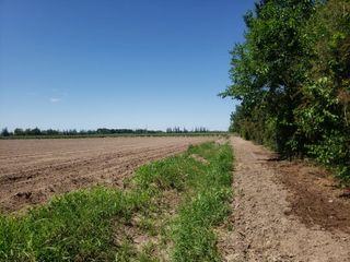 Foto 2 de TERRENO DE 6 HAS PARA DESARROLLO MAIPU