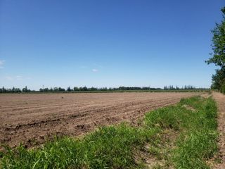 Foto 3 de TERRENO DE 6 HAS PARA DESARROLLO MAIPU