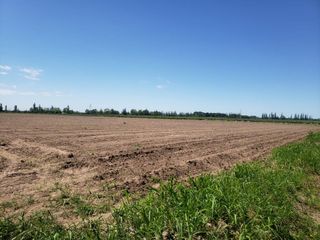 Foto 1 de TERRENO DE 6 HAS PARA DESARROLLO MAIPU