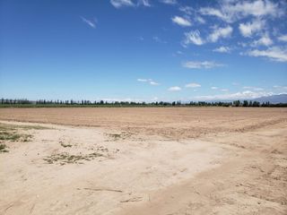 Foto 7 de TERRENO DE 6 HAS PARA DESARROLLO MAIPU