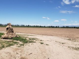 Foto 6 de TERRENO DE 6 HAS PARA DESARROLLO MAIPU