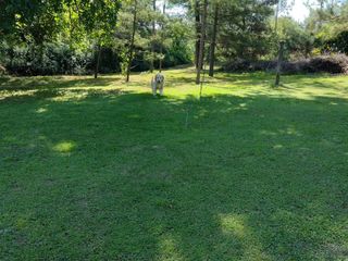 Foto 1 de LOTE EN LOS AROMOS DE 5104 M COSTA RIO / ESCRITURA