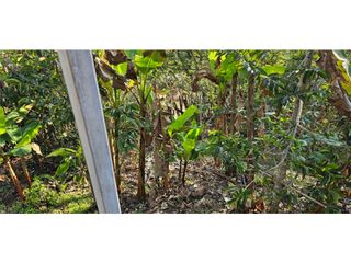 Foto 13 de ARRIENDO CASA DE CAMPO EN CHINACOTA