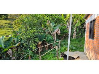 Foto 20 de ARRIENDO CASA DE CAMPO EN CHINACOTA