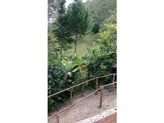 Foto 14 de ARRIENDO CASA DE CAMPO EN CHINACOTA