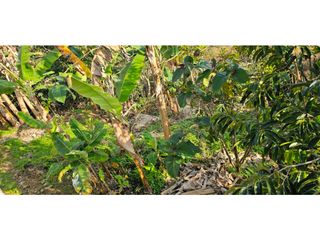 Foto 16 de ARRIENDO CASA DE CAMPO EN CHINACOTA