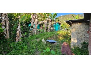 Foto 25 de ARRIENDO CASA DE CAMPO EN CHINACOTA