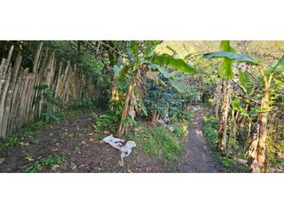 Foto 18 de ARRIENDO CASA DE CAMPO EN CHINACOTA