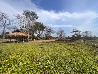 Foto 2 de VENTA DE ESPECTACULAR LOTE FRENTE AL MAR EN LOS CÓRDOBAS