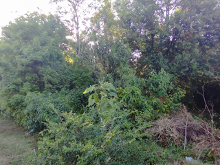 Foto 4 de Terreno en venta Av. Maipu