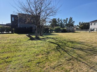 Foto 4 de Venta Excelente terreno en Barrio San Ramiro Pilar del Este