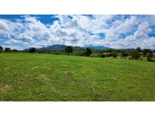 Foto 4 de Lote en Venta en  Cerritos Pereira