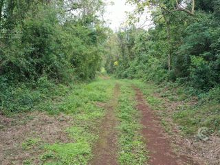 Foto 8 de Se vende. Campo Jardín América.  De 306 ha en su mayoria monte Nativo. Con partes de pino y Kiri.