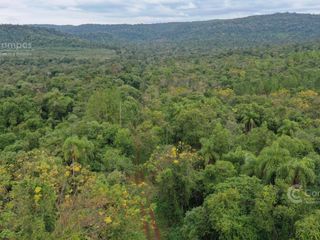 Foto 4 de Se vende. Campo Jardín América.  De 306 ha en su mayoria monte Nativo. Con partes de pino y Kiri.