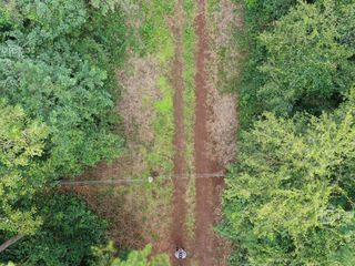 Foto 2 de Se vende. Campo Jardín América.  De 306 ha en su mayoria monte Nativo. Con partes de pino y Kiri.