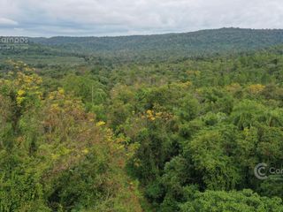 Foto 7 de Se vende. Campo Jardín América.  De 306 ha en su mayoria monte Nativo. Con partes de pino y Kiri.