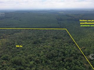 Foto 1 de Se vende. Campo Jardín América.  De 306 ha en su mayoria monte Nativo. Con partes de pino y Kiri.