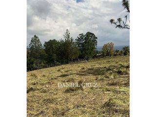 Foto 3 de VENTA LOTE PARCELACIÓN LOS ALPES