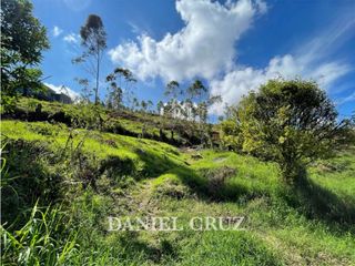 Foto 5 de VENTA LOTE ALTOS DE CATTLEYA