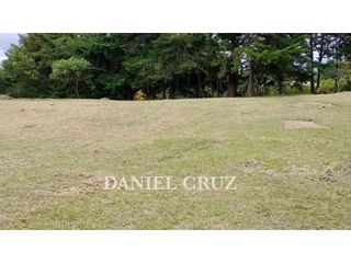 Foto 3 de VENTA LOTE PARCELACIÓN SAN FRANCISCO - POPAYN