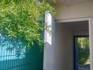 Foto 25 de Departamento Planta Baja alquiler en complejo Cercano a Puente Olive