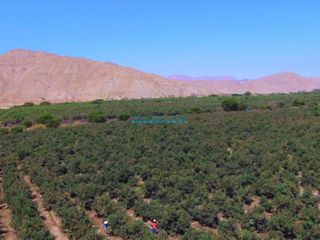 Foto 7 de Terrenos Agricolas Venta CAL. Vinchamarca Chica - MORO
