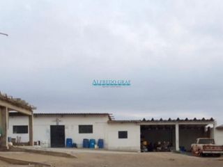 Foto 2 de Terrenos Agricolas Venta CAL. Vinchamarca Chica - MORO