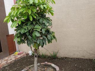 Foto 23 de Por estrenar casa amplia de 3 plantas en Martínez - Ambato