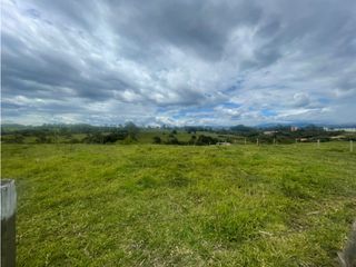 Foto 5 de BROKER - LOTE EN VENTA PARCELACION LA PAZ POPAYAN