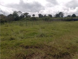 Foto 4 de LUXA VENDE LOTE PINO PARDO SECTOR LA ALDEA POPAYAN