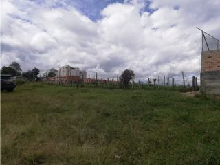 Foto 5 de LUXA VENDE LOTE PINO PARDO SECTOR LA ALDEA POPAYAN