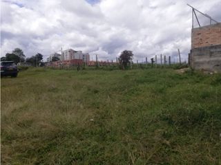 Foto 2 de LUXA VENDE LOTE PINO PARDO SECTOR LA ALDEA POPAYAN