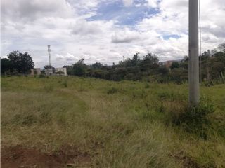 Foto 6 de LUXA VENDE LOTE PINO PARDO SECTOR LA ALDEA POPAYAN