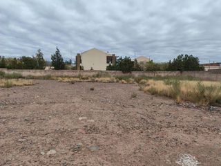 Foto 29 de Se vende lote en Maipú, Mendoza