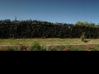 Foto 8 de HERMOSO LOTE EN VENTA EN MAIPU