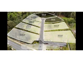 Foto 4 de Vendo espectaculares Lotes Alto de Palmas Medellin