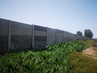 Foto 12 de Terreno en Venta Huacho - Huaura